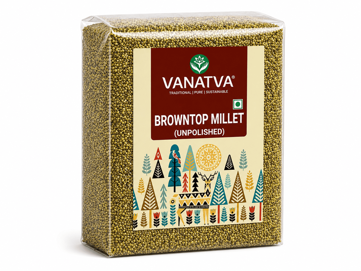 Browntop Millet