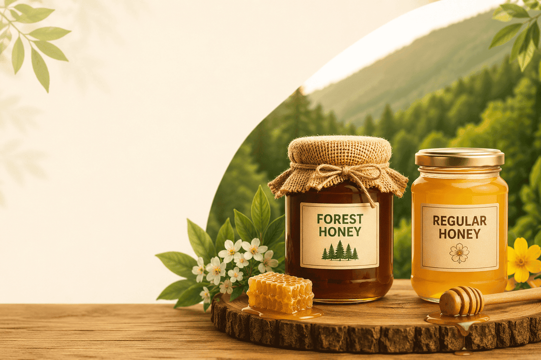 Top 3 Benefits of Forest Honey Compared to Regular Honey