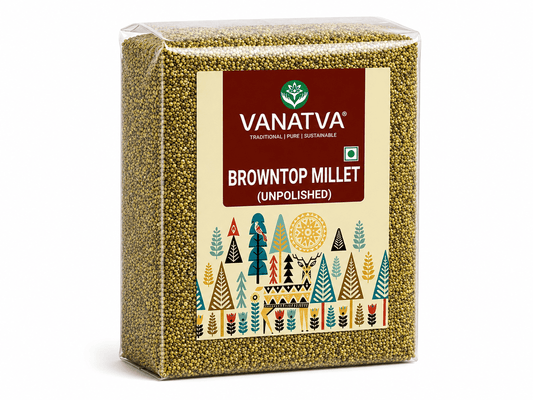 Browntop Millet